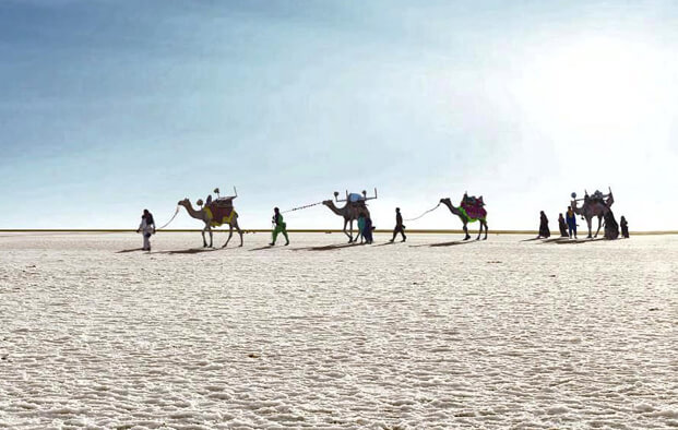 Great Rann Of Kutch Tour
