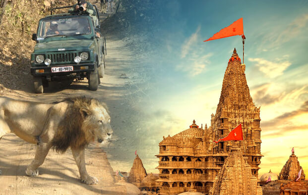 Saurastra Tour